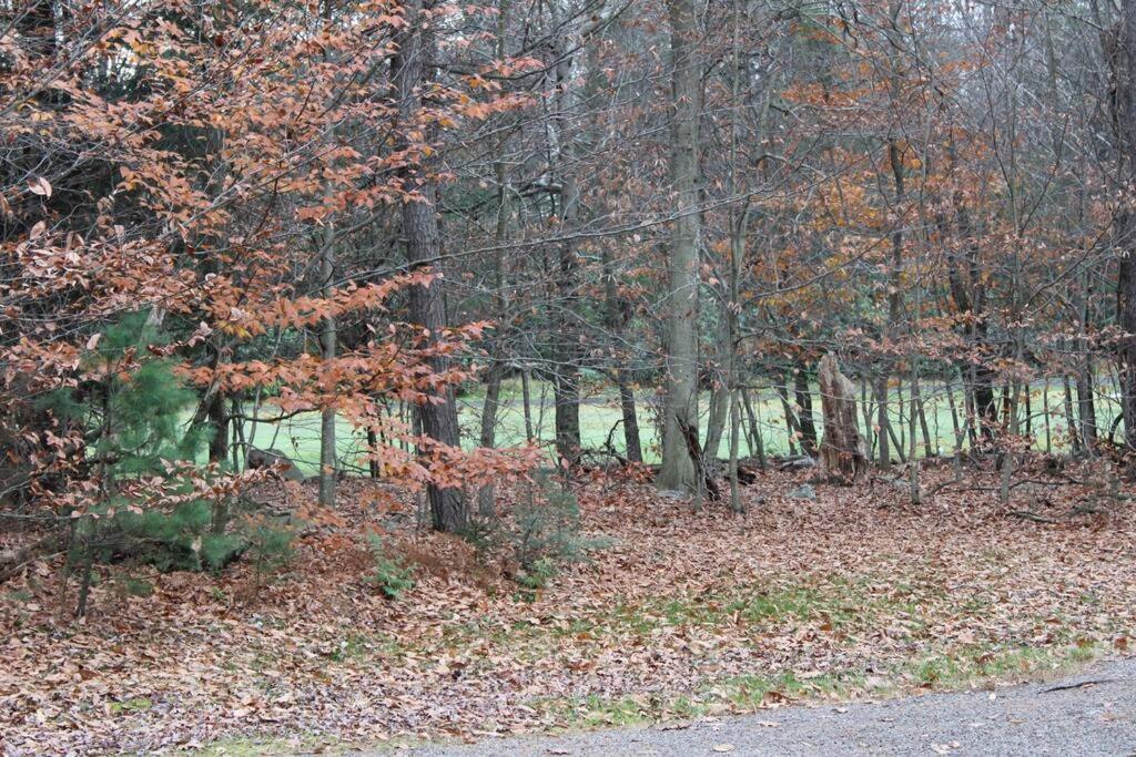 Luxury 4 Bedroom House In Pocono Mountains In Golf Course Near Lake Tobyhanna 外观 照片